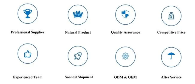 LonierHerb Manufacturer of Butcher's Broom Extract Powder