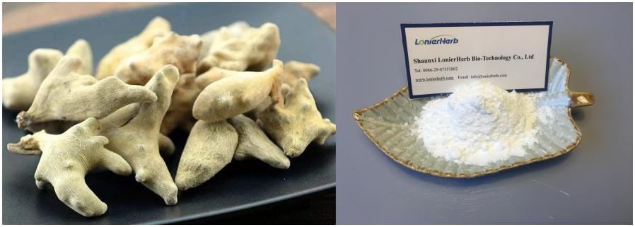 Gallnut Extract , Gallic Acid