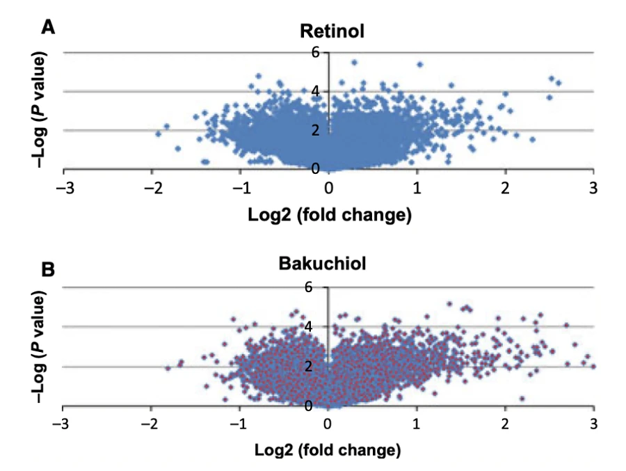 Bakuchiol VS  retinol