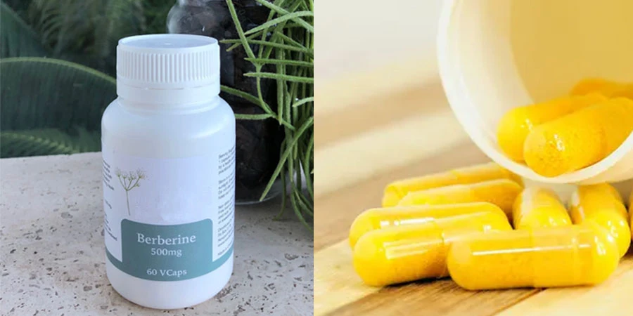Berberine HCL Manufacture