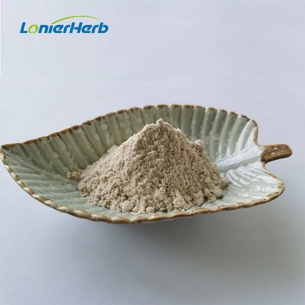 Best Pumpkin Seed Protein Powder
