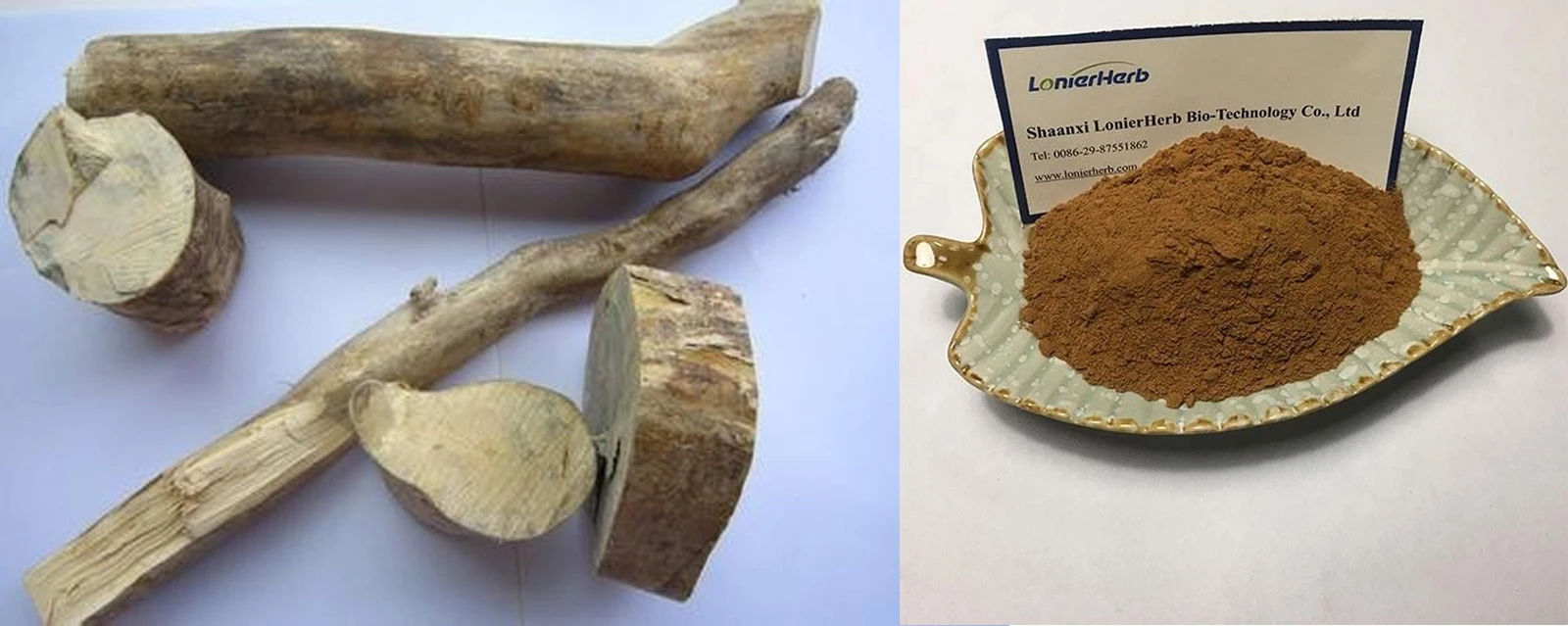 Muira Puama Bark Extract Muira Puama Bark Extract