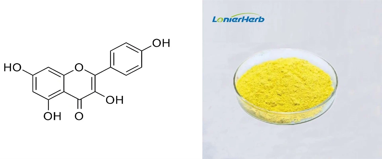 Kaempferol Powder Kaempferol Powder