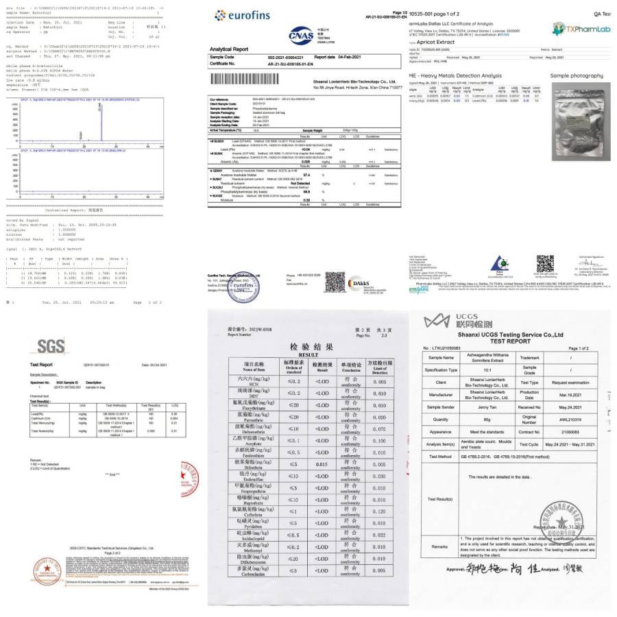 Test Report by Third Part 1 Test Report by Third Part 1